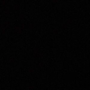 Meet your Posher, Tyra